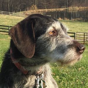 Meet your Posher, John